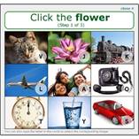 CAPTCHA  images  cocher.
cliquer sur la fleur parmi plusieurs autres photos de chat, personnes, avion.